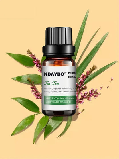 Huiles essentielles pour diffuseur, humidificateur d'huiles essentielles d'aromathérapie, 6 parfums : lavande, arbre à thé, romarin, citronnelle et orange