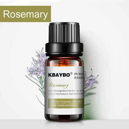 Huiles essentielles pour diffuseur, humidificateur d'huiles essentielles d'aromathérapie, 6 parfums : lavande, arbre à thé, romarin, citronnelle et orange